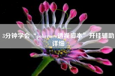 3分钟学会“pokernow透视脚本	”开挂辅助详细