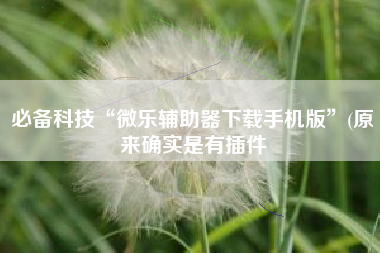 必备科技“微乐辅助器下载手机版”(原来确实是有插件