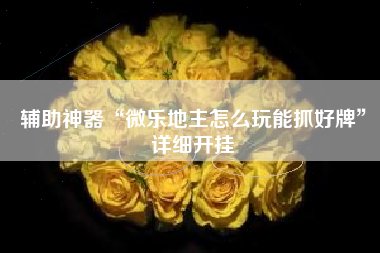 辅助神器“微乐地主怎么玩能抓好牌”详细开挂