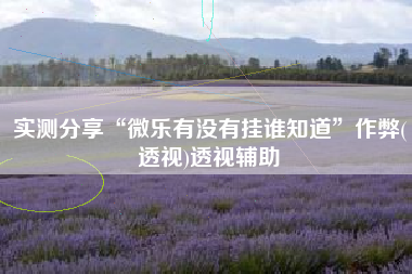 实测分享“微乐有没有挂谁知道	”作弊(透视)透视辅助