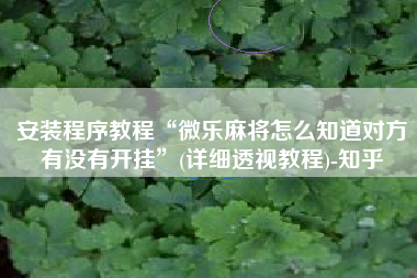 安装程序教程“微乐麻将怎么知道对方有没有开挂	”(详细透视教程)-知乎