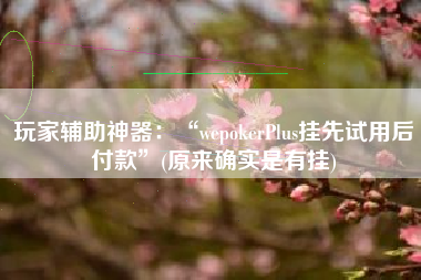 玩家辅助神器：“wepokerPlus挂先试用后付款	”(原来确实是有挂)