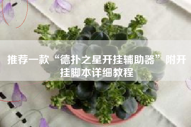 推荐一款“德扑之星开挂辅助器”附开挂脚本详细教程