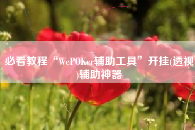 必看教程“WePOKer辅助工具”开挂(透视)辅助神器