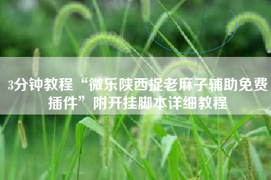 3分钟教程“微乐陕西捉老麻子辅助免费插件	”附开挂脚本详细教程