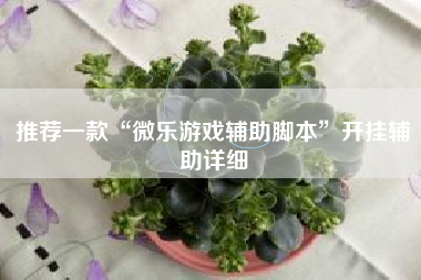 推荐一款“微乐游戏辅助脚本	”开挂辅助详细