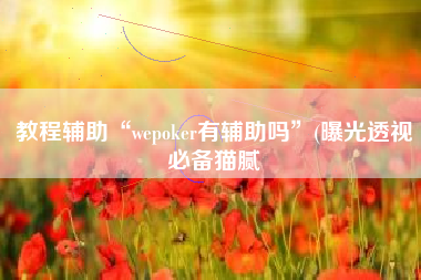 教程辅助“wepoker有辅助吗	”(曝光透视必备猫腻