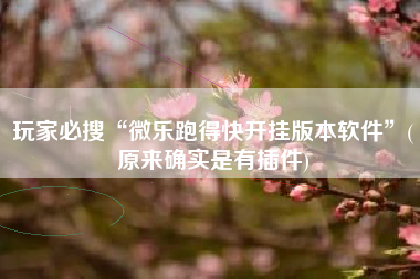 玩家必搜“微乐跑得快开挂版本软件”(原来确实是有插件)