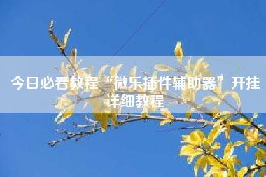 今日必看教程“微乐插件辅助器”开挂详细教程