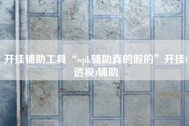 开挂辅助工具“wpk辅助真的假的”开挂(透视)辅助