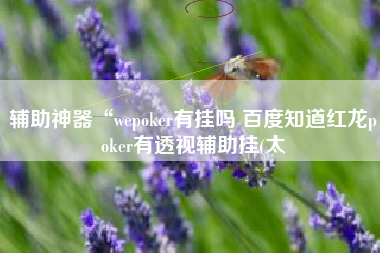 辅助神器“wepoker有挂吗 百度知道红龙poker有透视辅助挂(太