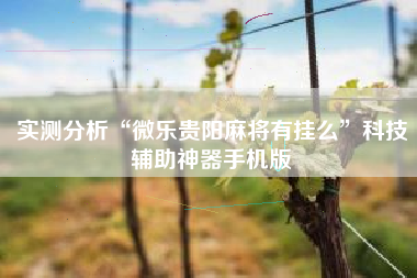 实测分析“微乐贵阳麻将有挂么	”科技辅助神器手机版