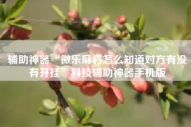 辅助神器“微乐麻将怎么知道对方有没有开挂”科技辅助神器手机版