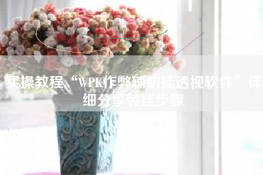 实操教程“WPK作弊辅助挂透视软件”详细分享装挂步骤