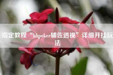 指定教程“hhpoker辅佐透视	”详细开挂玩法