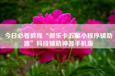 今日必看教程“微乐卡五星小程序辅助器”科技辅助神器手机版