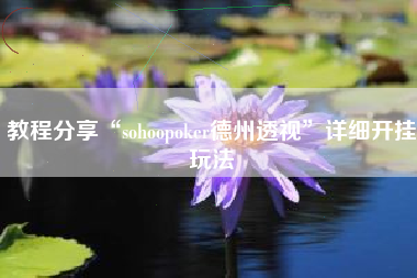 教程分享“sohoopoker德州透视”详细开挂玩法