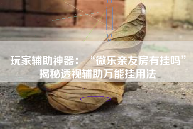 玩家辅助神器：“微乐亲友房有挂吗”揭秘透视辅助万能挂用法
