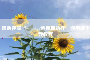 辅助神器“wepoker透视辅助挂”通用版下载教程