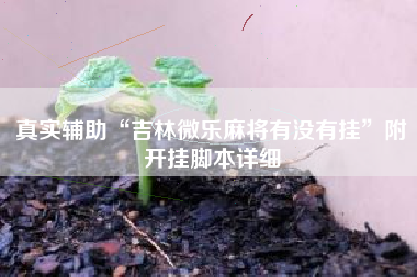 真实辅助“吉林微乐麻将有没有挂	”附开挂脚本详细