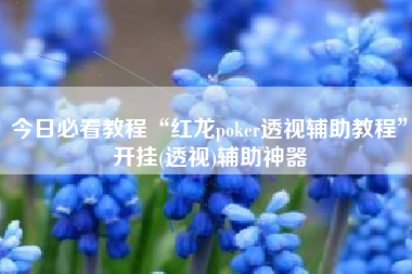 今日必看教程“红龙poker透视辅助教程	”开挂(透视)辅助神器