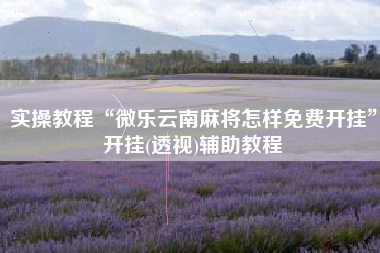 实操教程“微乐云南麻将怎样免费开挂”开挂(透视)辅助教程