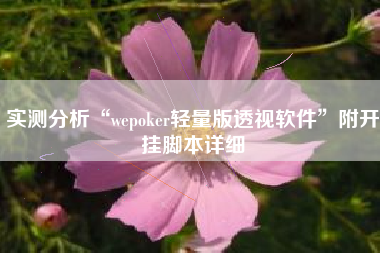 实测分析“wepoker轻量版透视软件”附开挂脚本详细