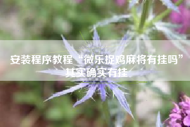 安装程序教程“微乐捉鸡麻将有挂吗	”其实确实有挂