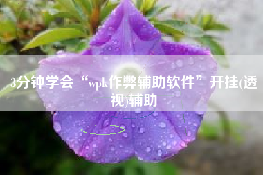 3分钟学会“wpk作弊辅助软件	”开挂(透视)辅助