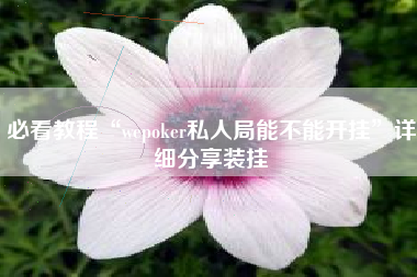 必看教程“wepoker私人局能不能开挂	”详细分享装挂