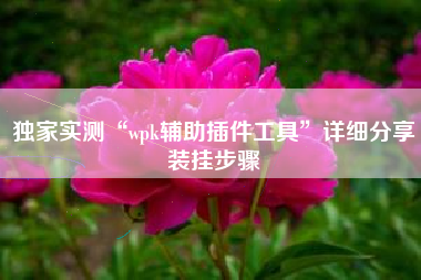 独家实测“wpk辅助插件工具”详细分享装挂步骤