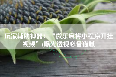 玩家辅助神器：“微乐麻将小程序开挂视频”(曝光透视必备猫腻