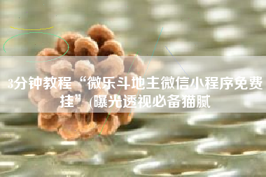 3分钟教程“微乐斗地主微信小程序免费挂”(曝光透视必备猫腻