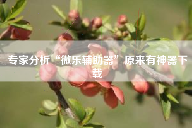 专家分析“微乐辅助器”原来有神器下载