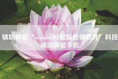 辅助神器“wepoker轻量版透视软件	”科技辅助神器手机