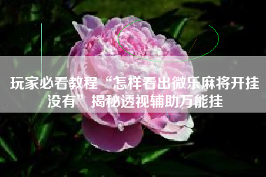 玩家必看教程“怎样看出微乐麻将开挂没有”揭秘透视辅助万能挂