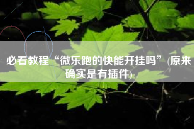 必看教程“微乐跑的快能开挂吗”(原来确实是有插件)