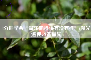 3分钟学会“微乐跑得快有没有挂	”(曝光透视必备猫腻