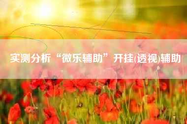 实测分析“微乐辅助”开挂(透视)辅助