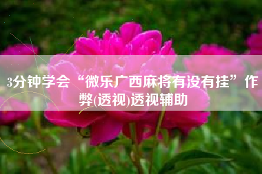 3分钟学会“微乐广西麻将有没有挂	”作弊(透视)透视辅助