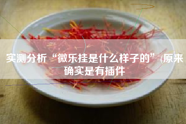 实测分析“微乐挂是什么样子的”(原来确实是有插件