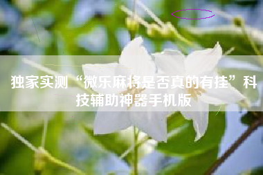 独家实测“微乐麻将是否真的有挂”科技辅助神器手机版