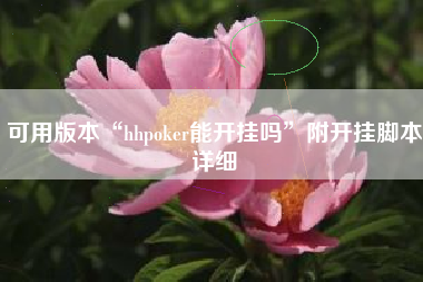 可用版本“hhpoker能开挂吗”附开挂脚本详细