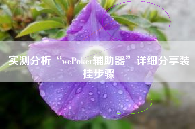 实测分析“wePoker辅助器	”详细分享装挂步骤