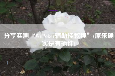分享实测“WePoker辅助挂教程	”(原来确实是有插件)