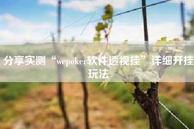 分享实测“wepoker软件透视挂”详细开挂玩法