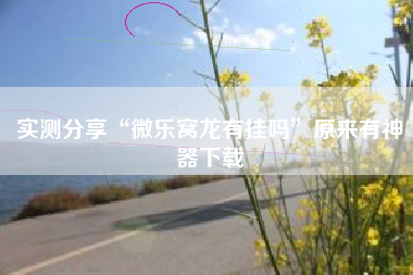 实测分享“微乐窝龙有挂吗”原来有神器下载