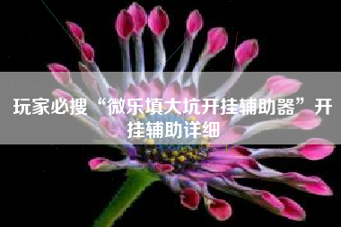 玩家必搜“微乐填大坑开挂辅助器”开挂辅助详细