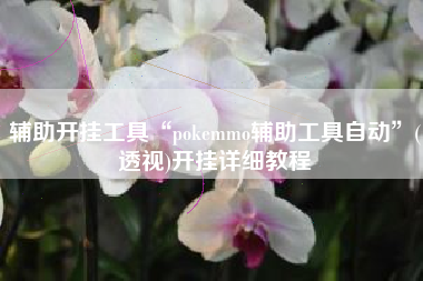 辅助开挂工具“pokemmo辅助工具自动”(透视)开挂详细教程