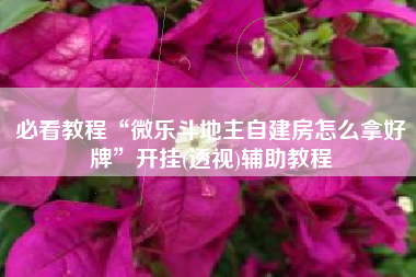 必看教程“微乐斗地主自建房怎么拿好牌”开挂(透视)辅助教程